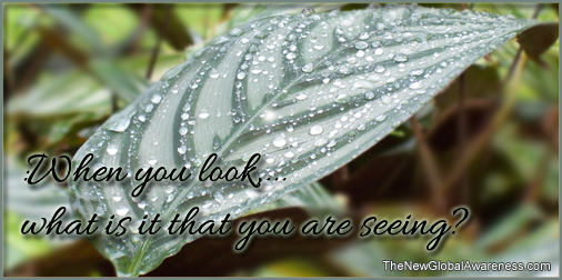 Image - when you look